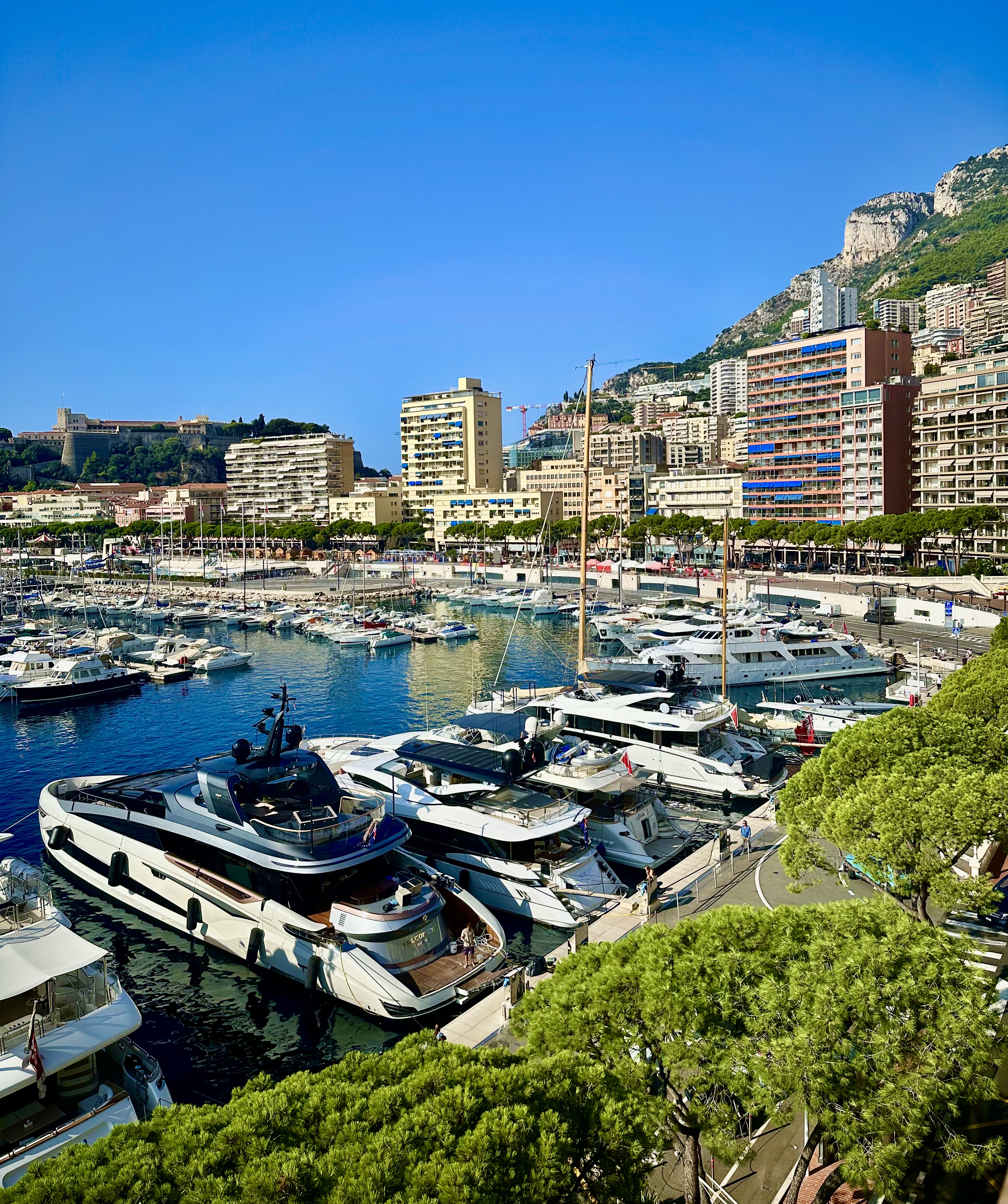 Monaco Port District: The Perfect Conditions for a Thriving Real Estate Market